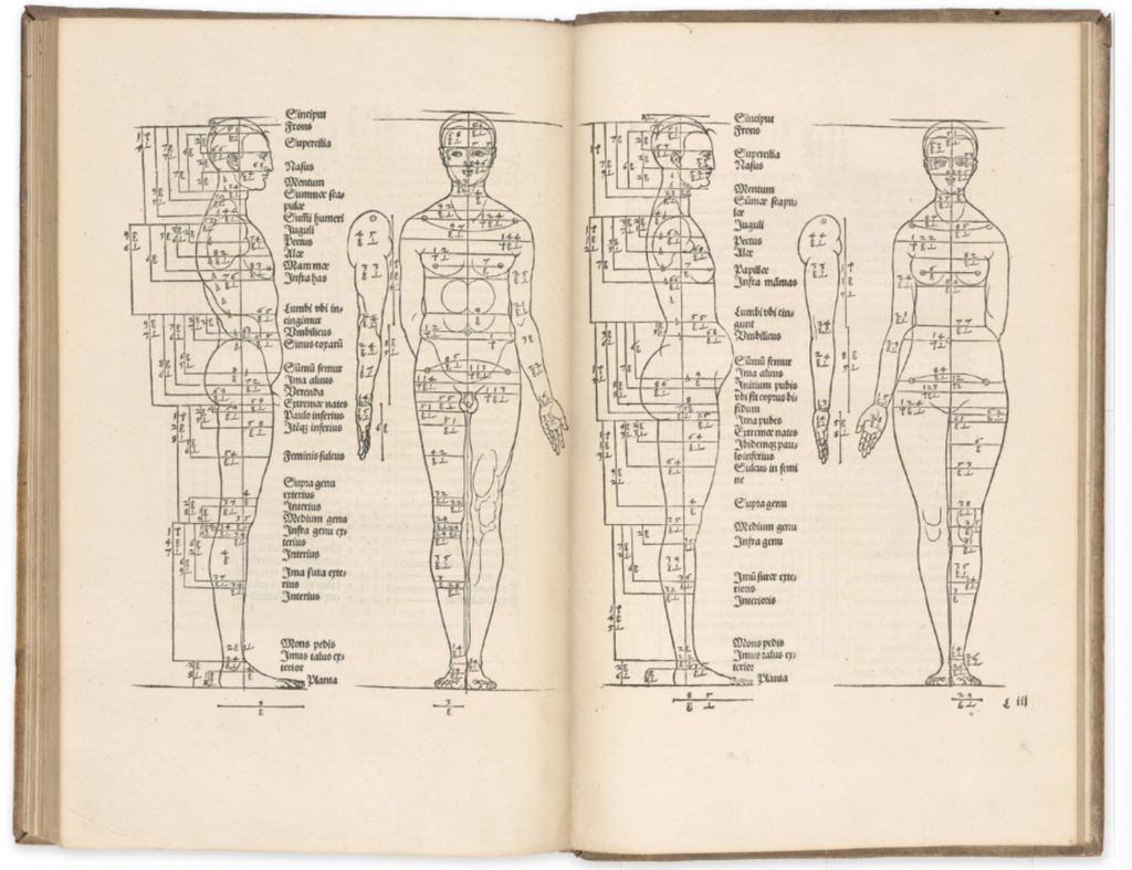 Illustration from Albrecht Dürer’s Four Books on Human Proportion
