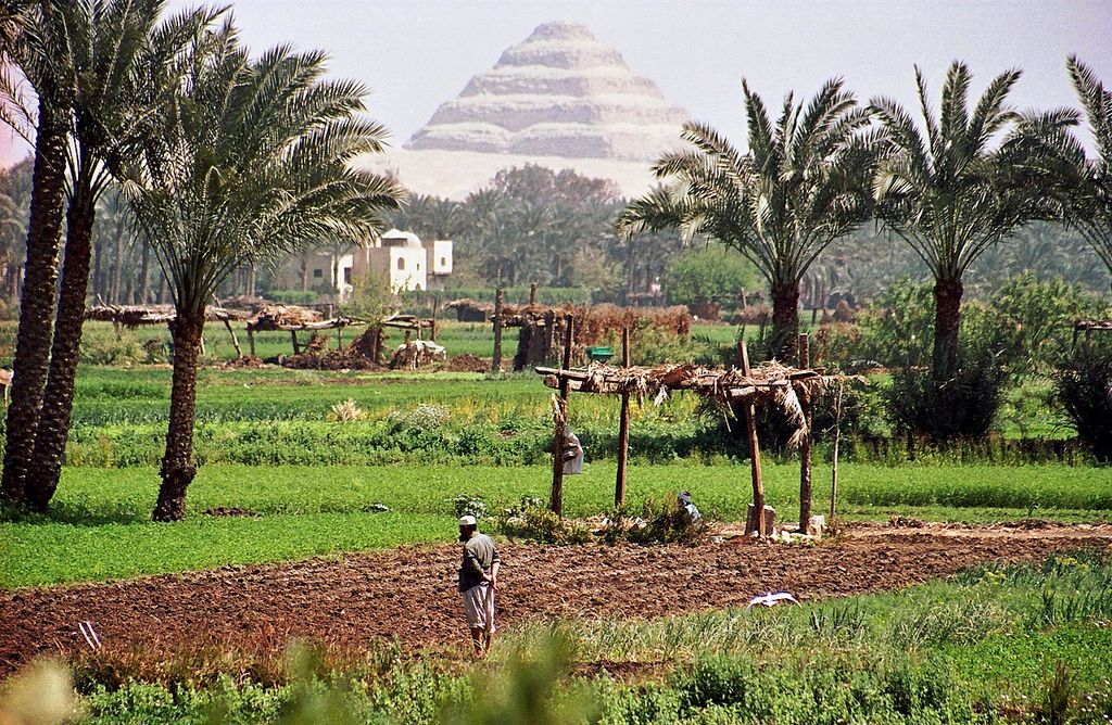 The stepped pyramid rises through haze beyond green cultivated fields, palm trees, simple farm structures and people working in the foreground.
