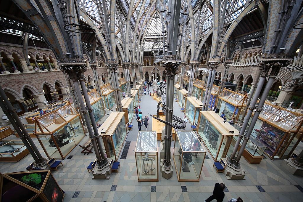 Decorated iron columns and branching roof ribs span a daylit museum court filled with glass display cases, skeletons and visitors.