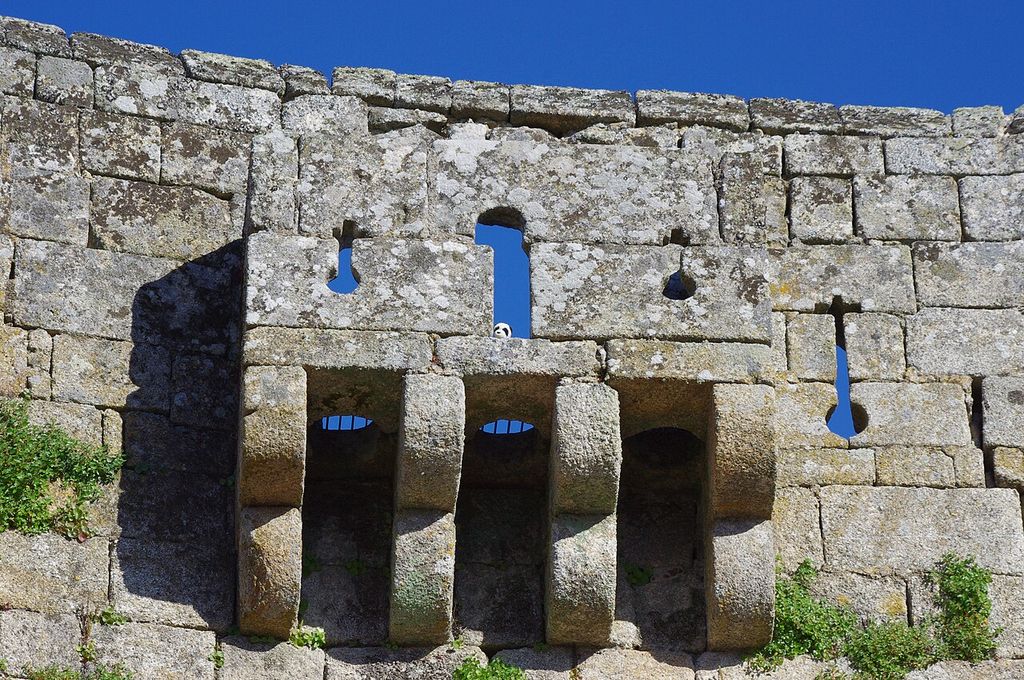 Here's a (somewhat) closer picture of Pandy at the entrance to the fortress at Sortelha.