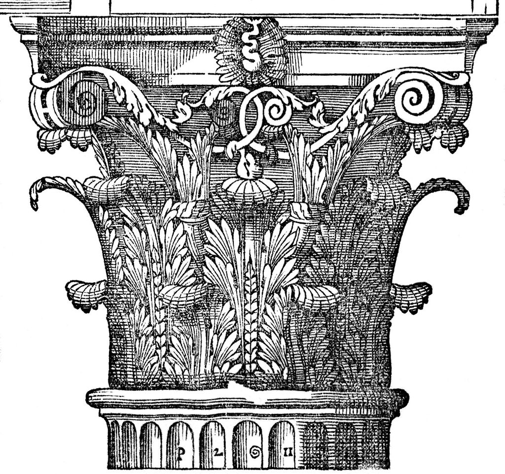 A dense black-and-white engraving organizes leaf tiers, stalks, curled forms and corner volutes beneath a shaped abacus.
