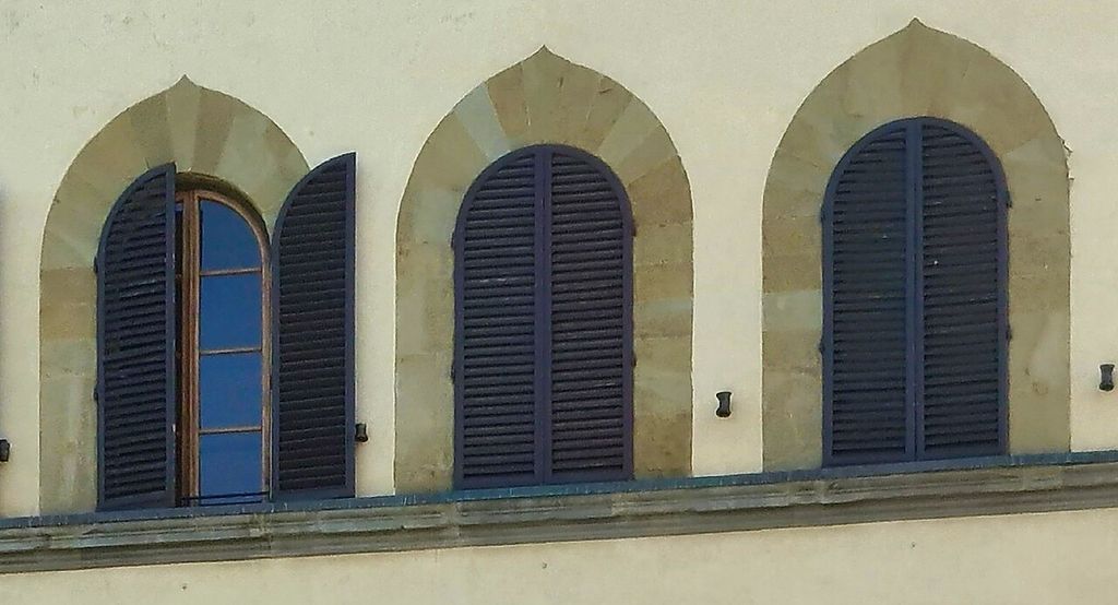 Keel arches with tiny ogee elements at the top (Palazzo Guadagni, Florence), showing ogee arch window