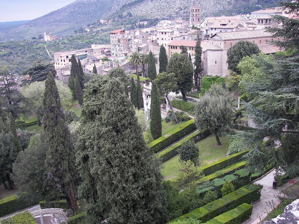 Garden at Villa d'Este with Tivoli in the background.