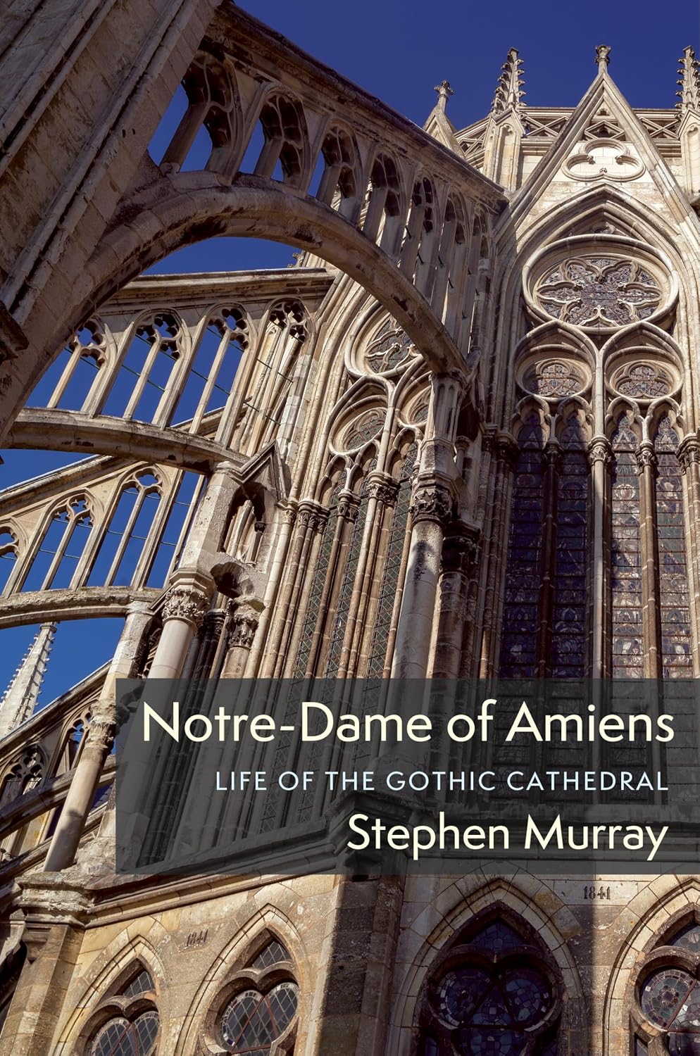 Cover of Notre-Dame of Amiens: Life of the Gothic Cathedral by Stephen Murray