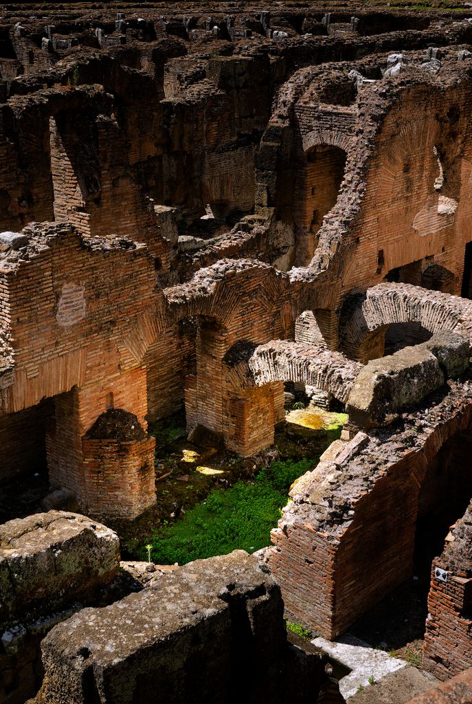 A steep view looks into a dense maze of reddish brick underground walls, arches, openings and narrow corridors, with deep shadow and green growth on the floor.