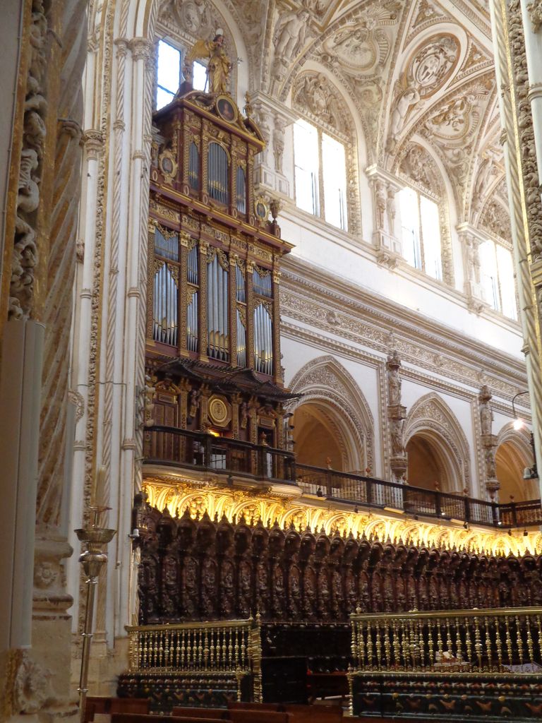 A tall cathedral interior contains a large dark-and-gold pipe organ, carved choir stalls, high windows and pale decorated vaults.