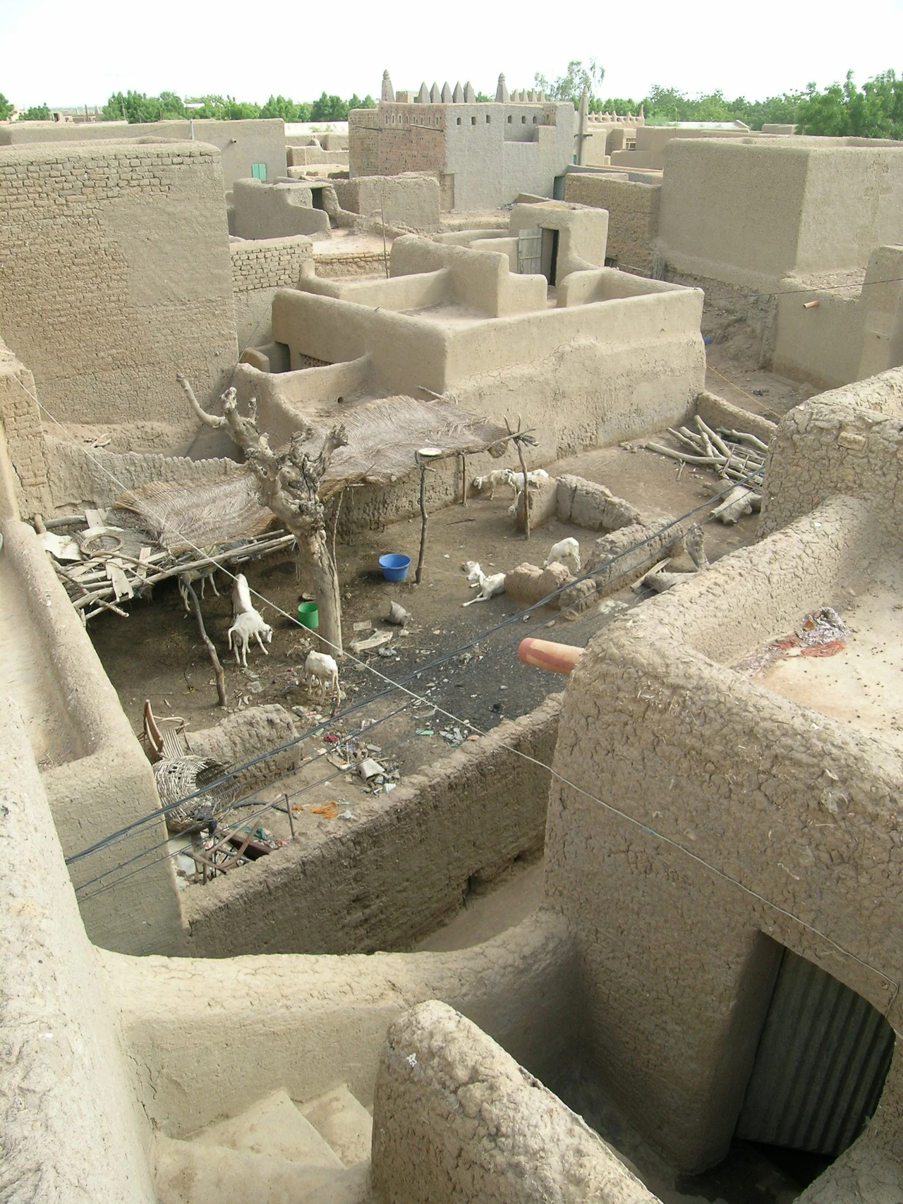 Djenné courtyard houses with protected wall tops, exposed units, timber projections and livestock.