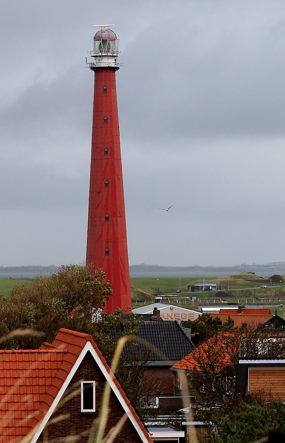 The tall red Lange Jaap lighthouse rises above house roofs beneath an overcast sky.