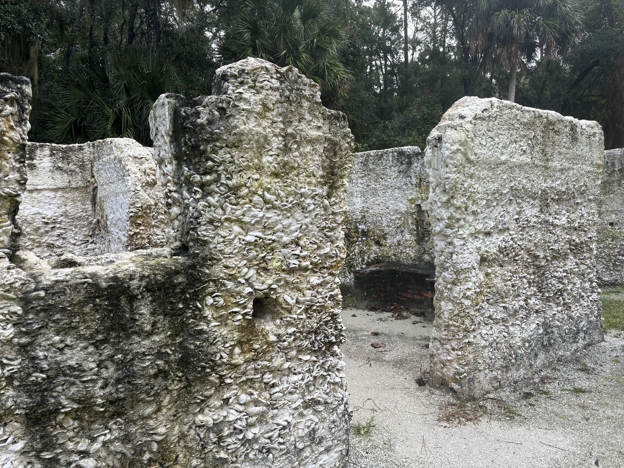 Shell-rich surviving tabby cabin walls at Kingsley Plantation.