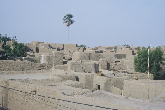 Low earthen buildings and roof terraces in Djenné, Mali, with a palm tree rising above the dense townscape.