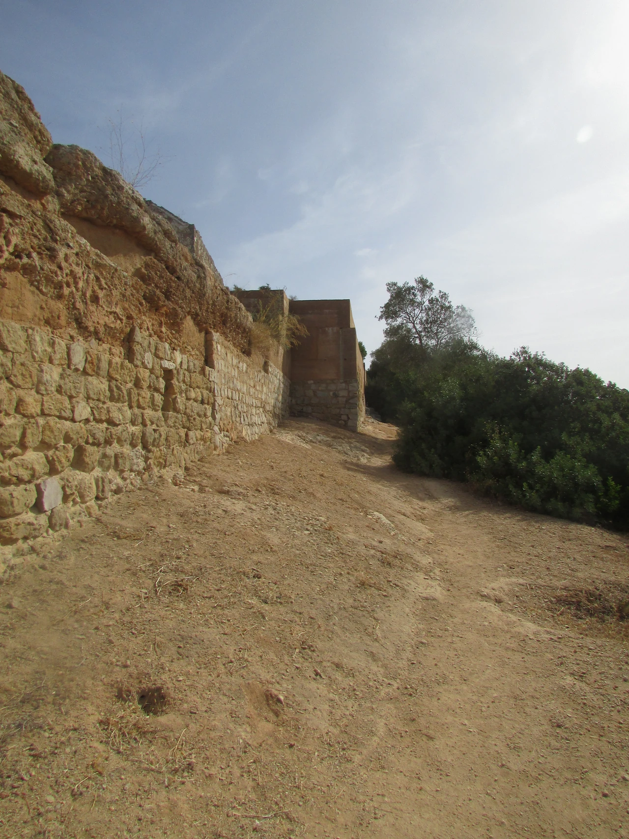 Rough Paderne Castle wall rising above a stone-faced plinth with vegetation at its base.