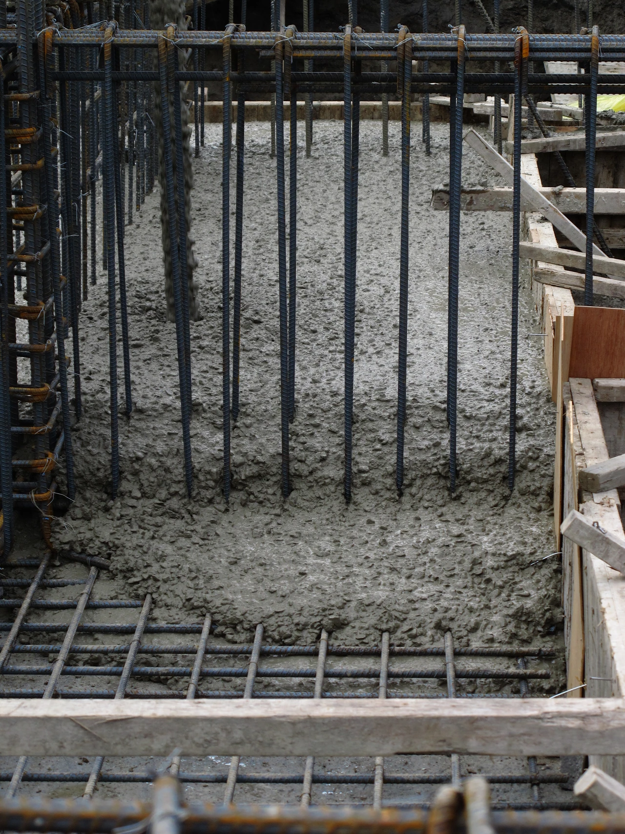 Fresh concrete is being placed among closely arranged bars inside timber formwork.