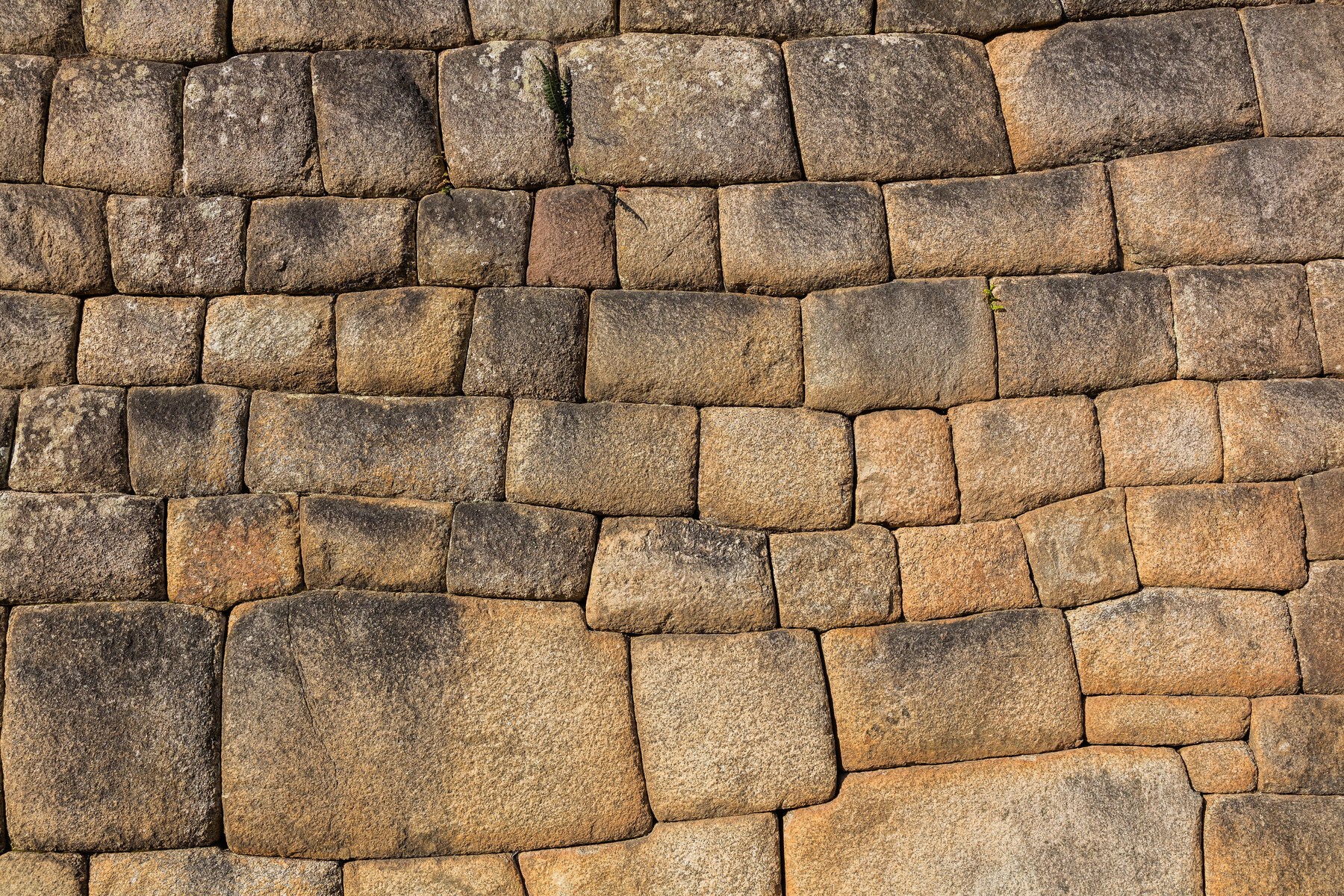 Closely fitted irregular stone blocks with narrow joints.