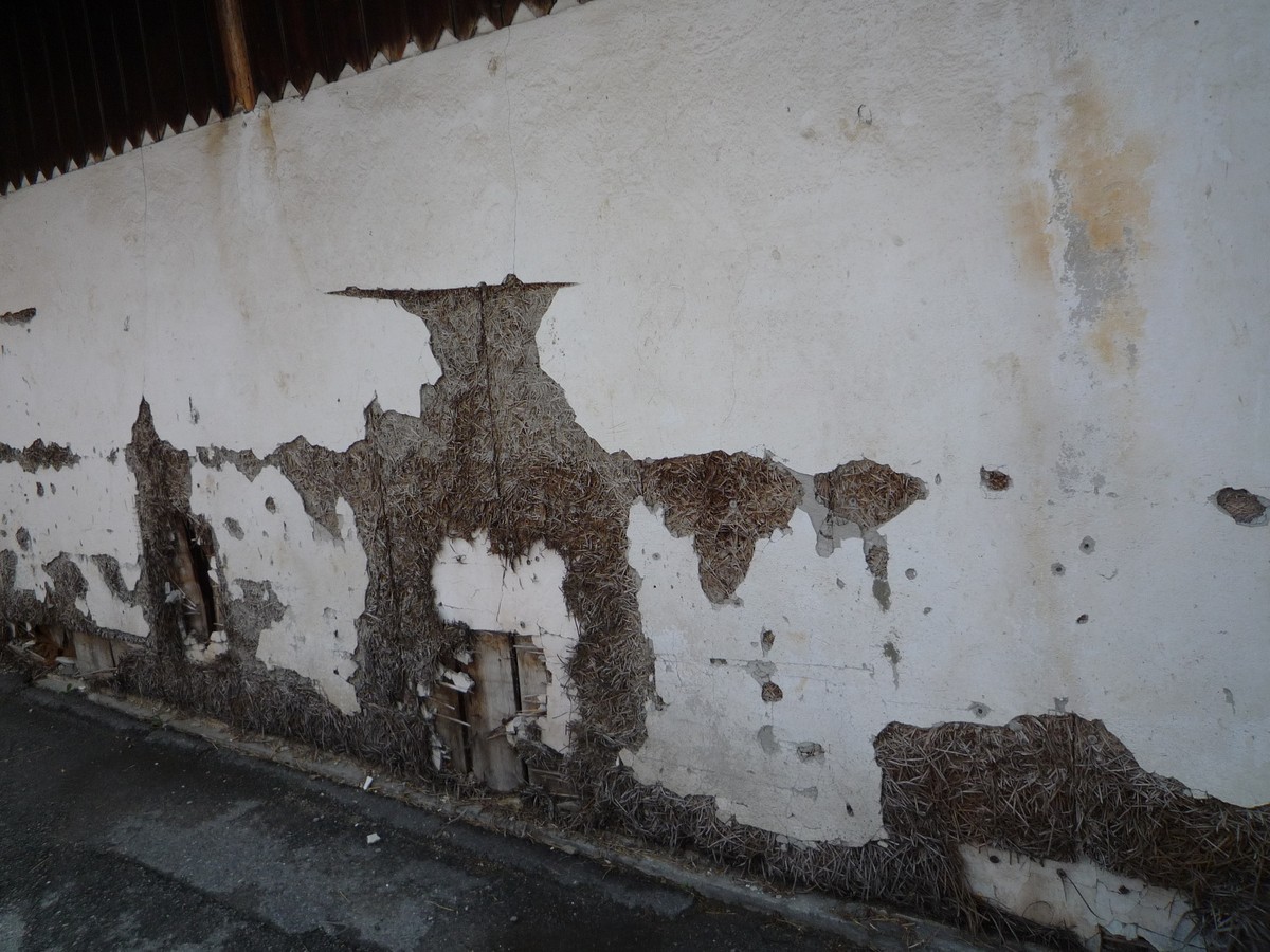 Losses in a pale wall face at Oetz reveal fibrous earth and organic supports beneath.