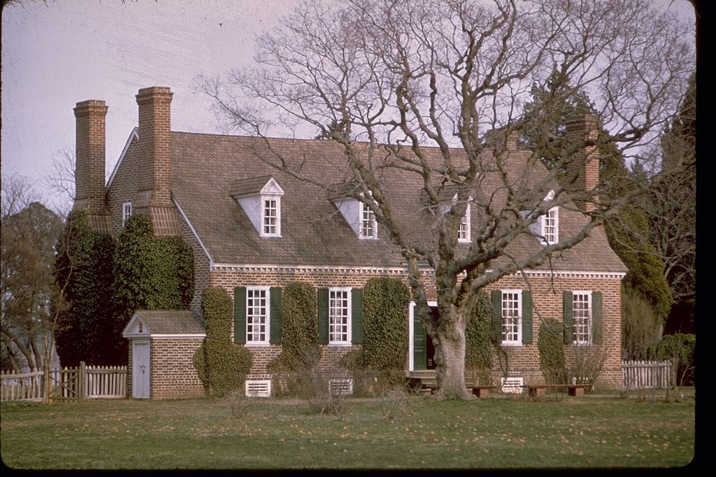 A brick house with tall chimneys, dormers and a steep roof stands behind a large bare tree and ivy-covered walls.