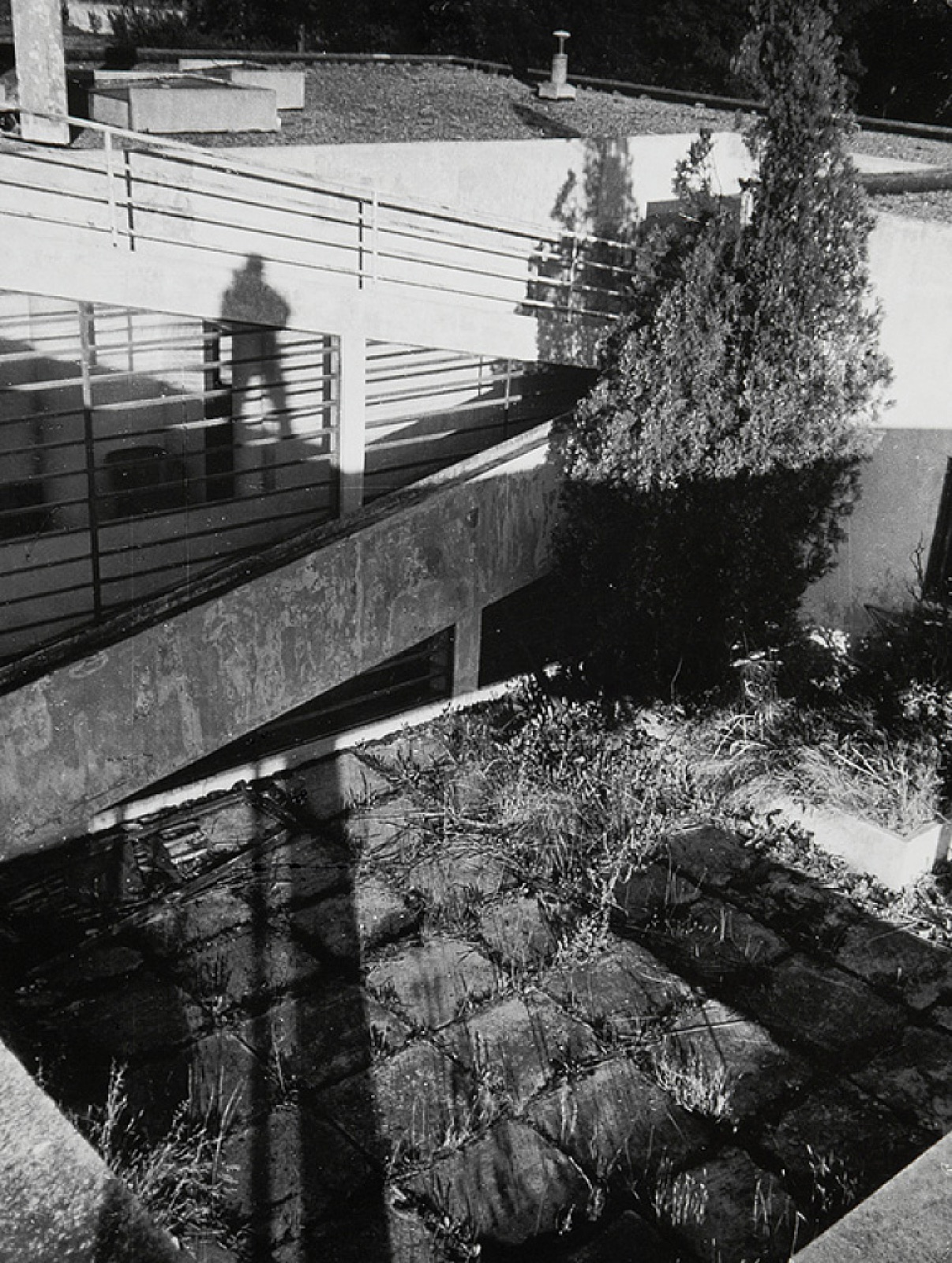 Balthazar Korab's 1952 black-and-white photograph of Villa Savoye's roof terrace and ramp with railings and planting.