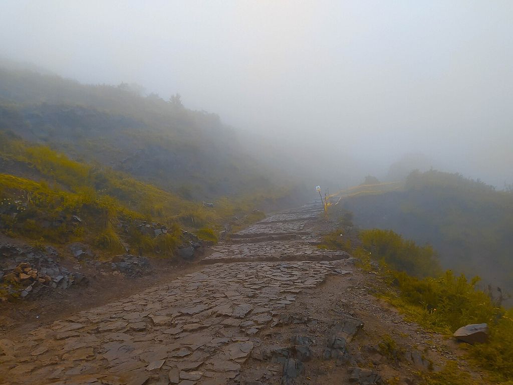 A rough stone-paved mountain path climbs into dense grey mist between wet grass, shrubs and dark sloping ground.