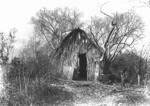 A small black-and-white thatched structure with an open timber frame and dark doorway stands among leafless branches and dense vegetation.