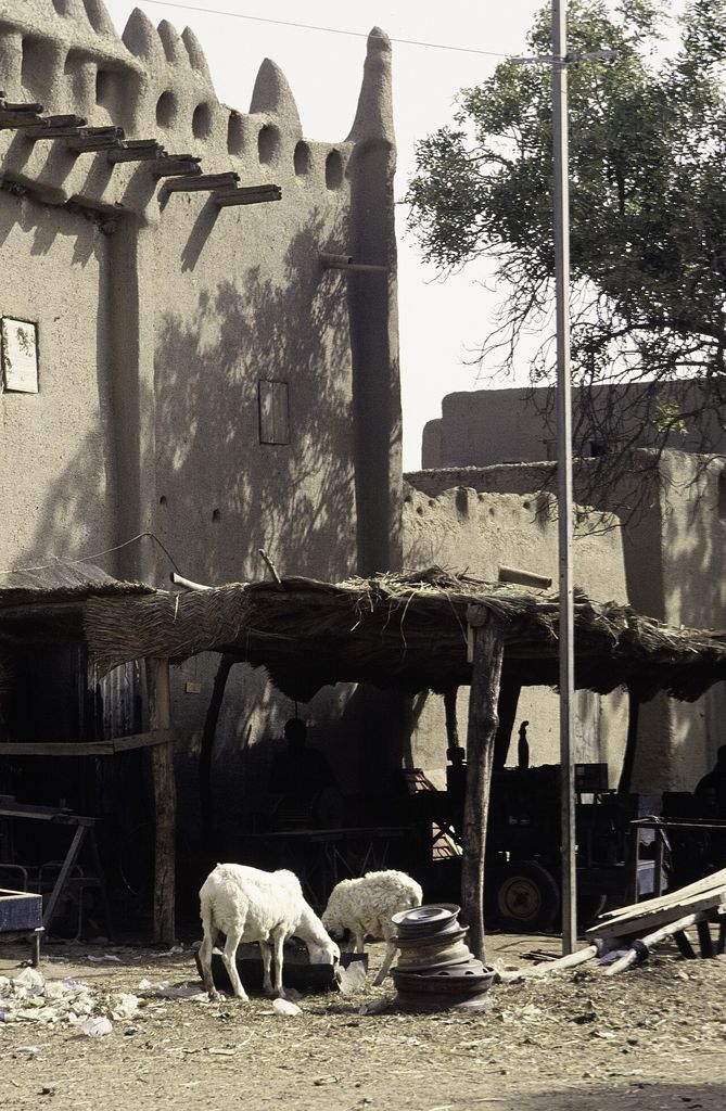 An earthen façade with projecting timbers rises above a lightweight canopy, animals and everyday street objects.