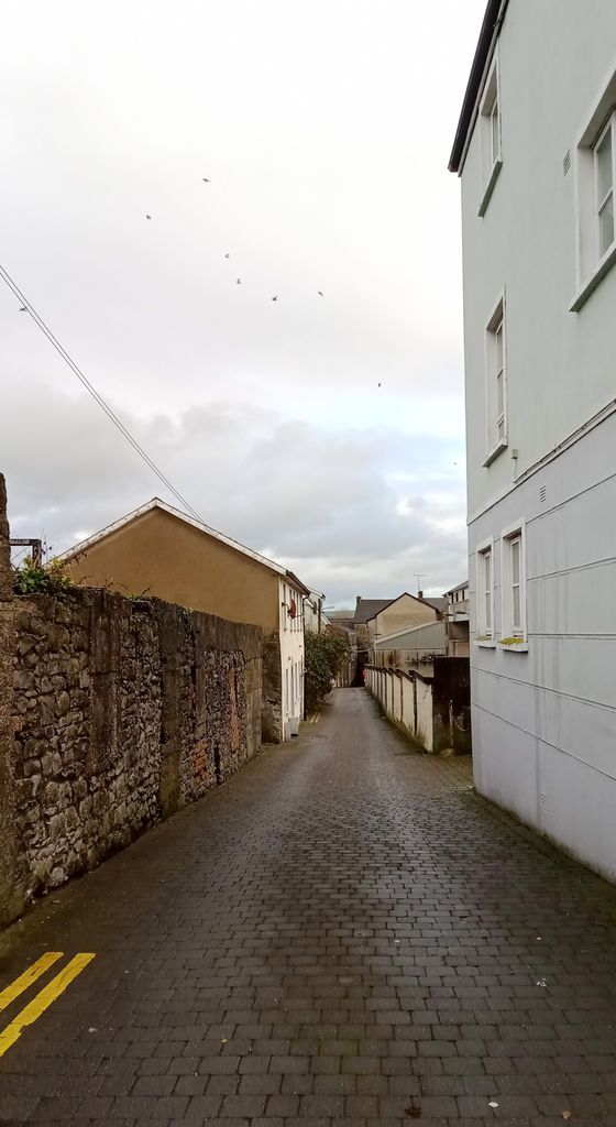 Evan's Lane as seen from James's Sconce, showing medieval burgage plots.