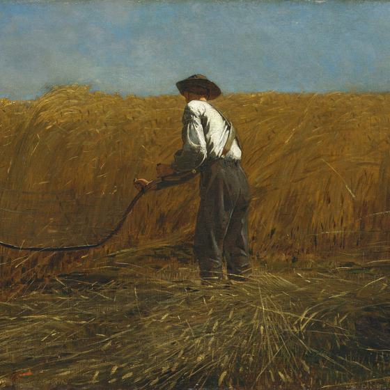 The Veteran in a New Field by Winslow Homer