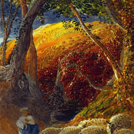 The Magic Apple Tree