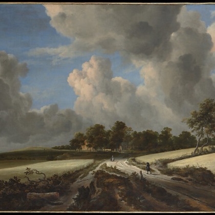 Wheat Fields