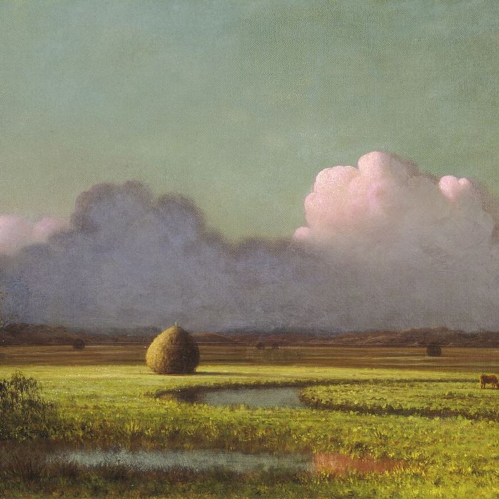 Martin Johnson Heade