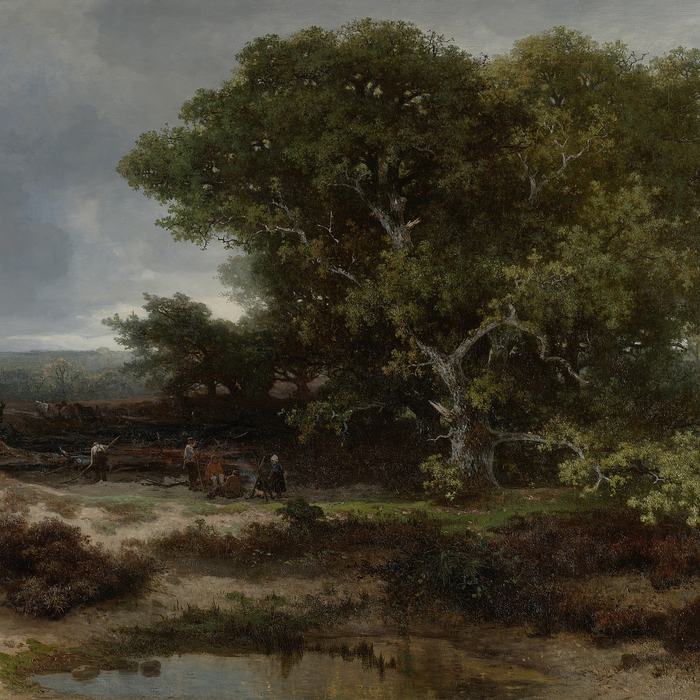 The Heath near Wolfheze by Johannes Warnardus Bilders