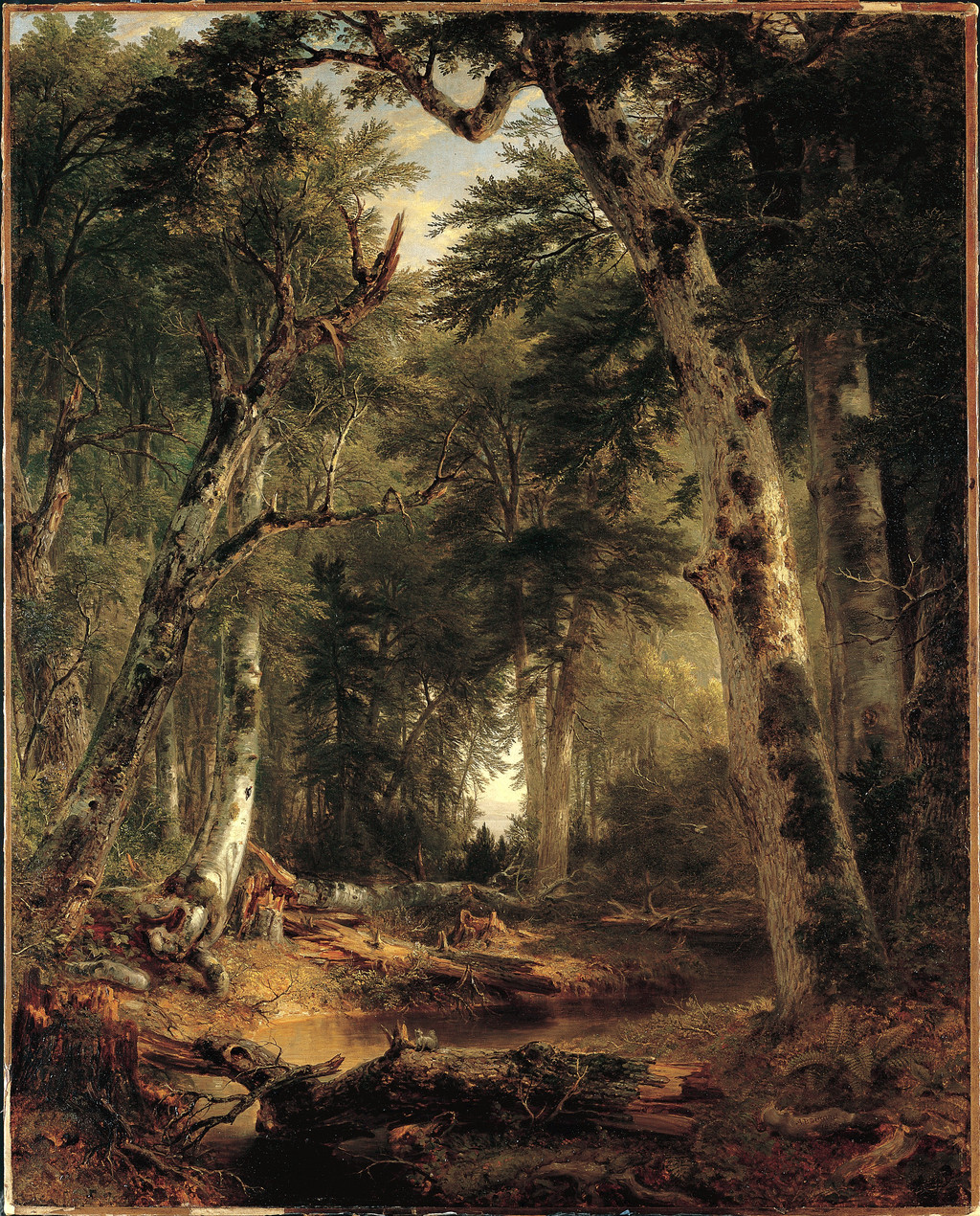 Asher Brown Durand, In the Woods, 1855. Oil on canvas, 154.3 × 121.9 cm. Metropolitan Museum of Art, 95.13.1. Gift in memory of Jonathan Sturges by his children, 1895.