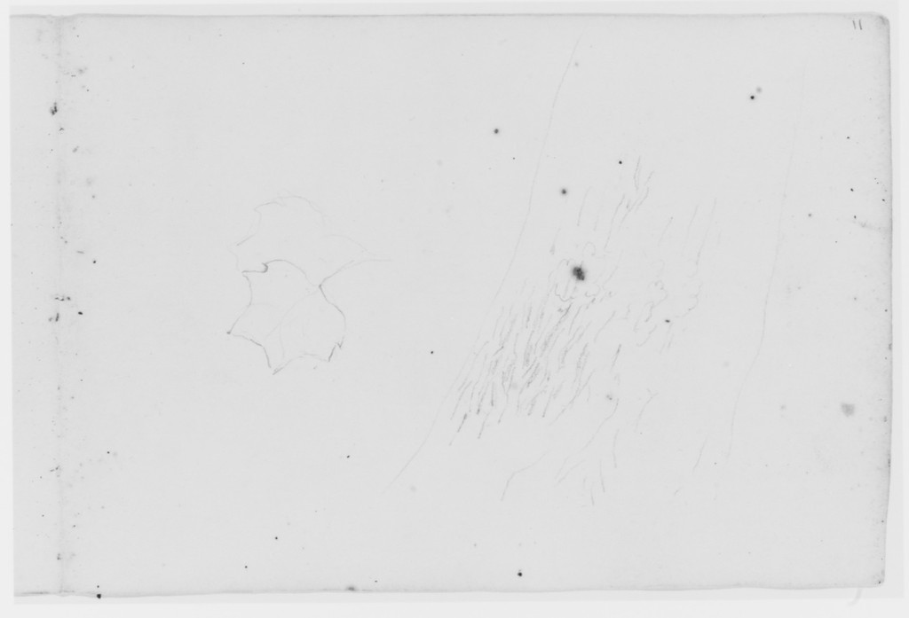 Asher Brown Durand, Leaf and Tree Study (from Sketchbook), undated. Graphite on paper, 11.7 × 17.5 cm. Metropolitan Museum of Art, 33.176.11 recto. Gift of Mrs. Frederic F. Durand, 1933. The supplied image’s faint graphite and paper edges are preserved.