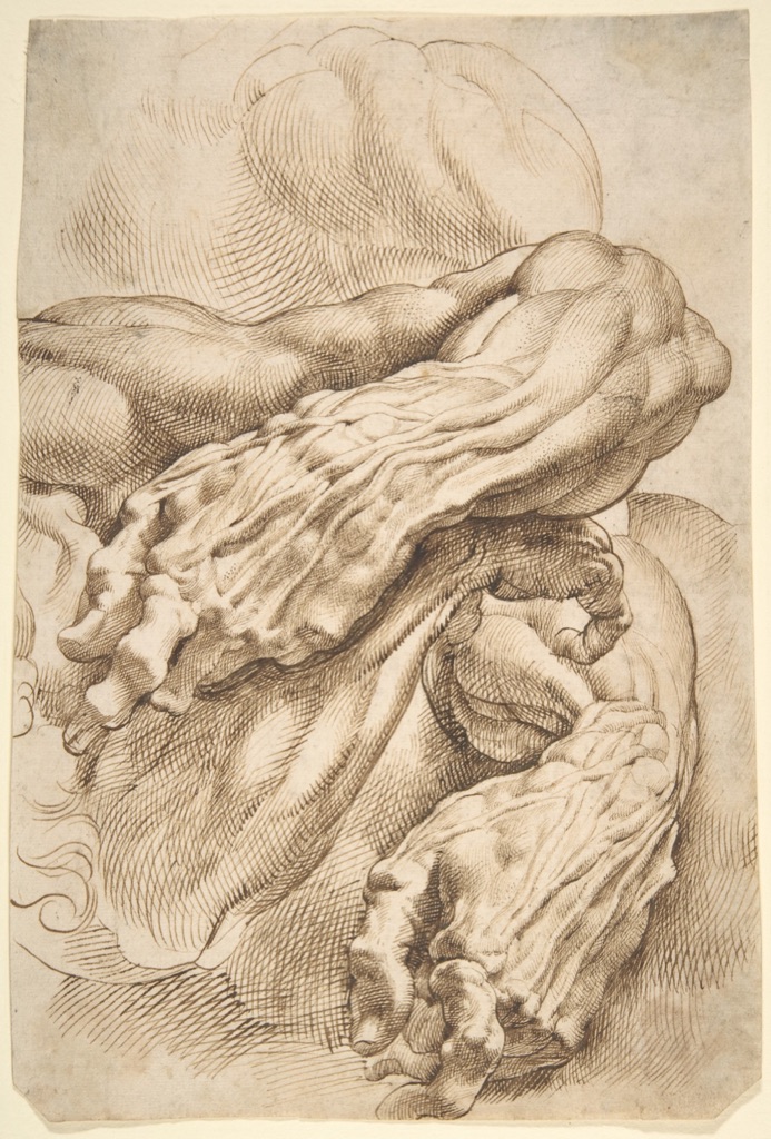 Rubens pen-and-ink study of muscular forearms and hands overlapping at several angles