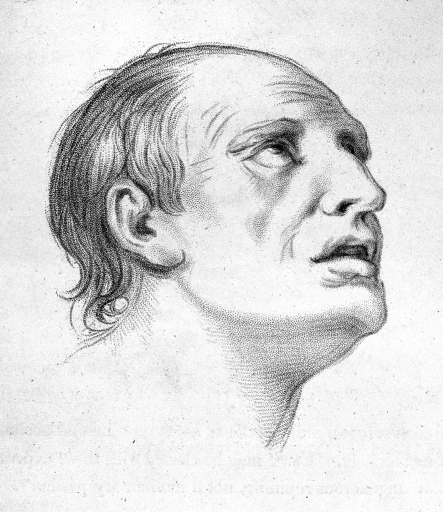 Bell's stippled profile study of an upward-looking face illustrating joy in the 1806 Essays