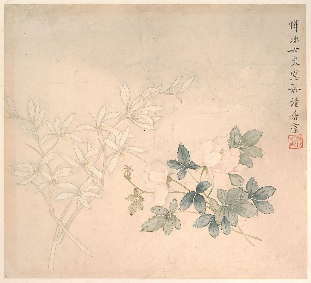 Yun Bing, Flower Study, a historical drawing in Album leaf; ink and color on paper.