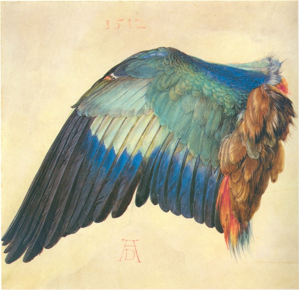 Blue and turquoise bird wing spreads across a pale sheet