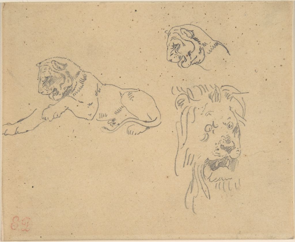 Eugène Delacroix, Three Studies of a Lion, a historical drawing in Graphite on tracing paper (mounted on wove paper).