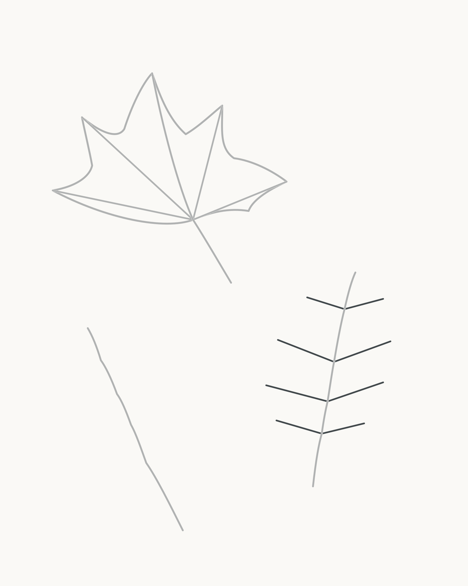 Stage 4 autumn leaf study adding four unequal pairs of primary veins along the oak midrib