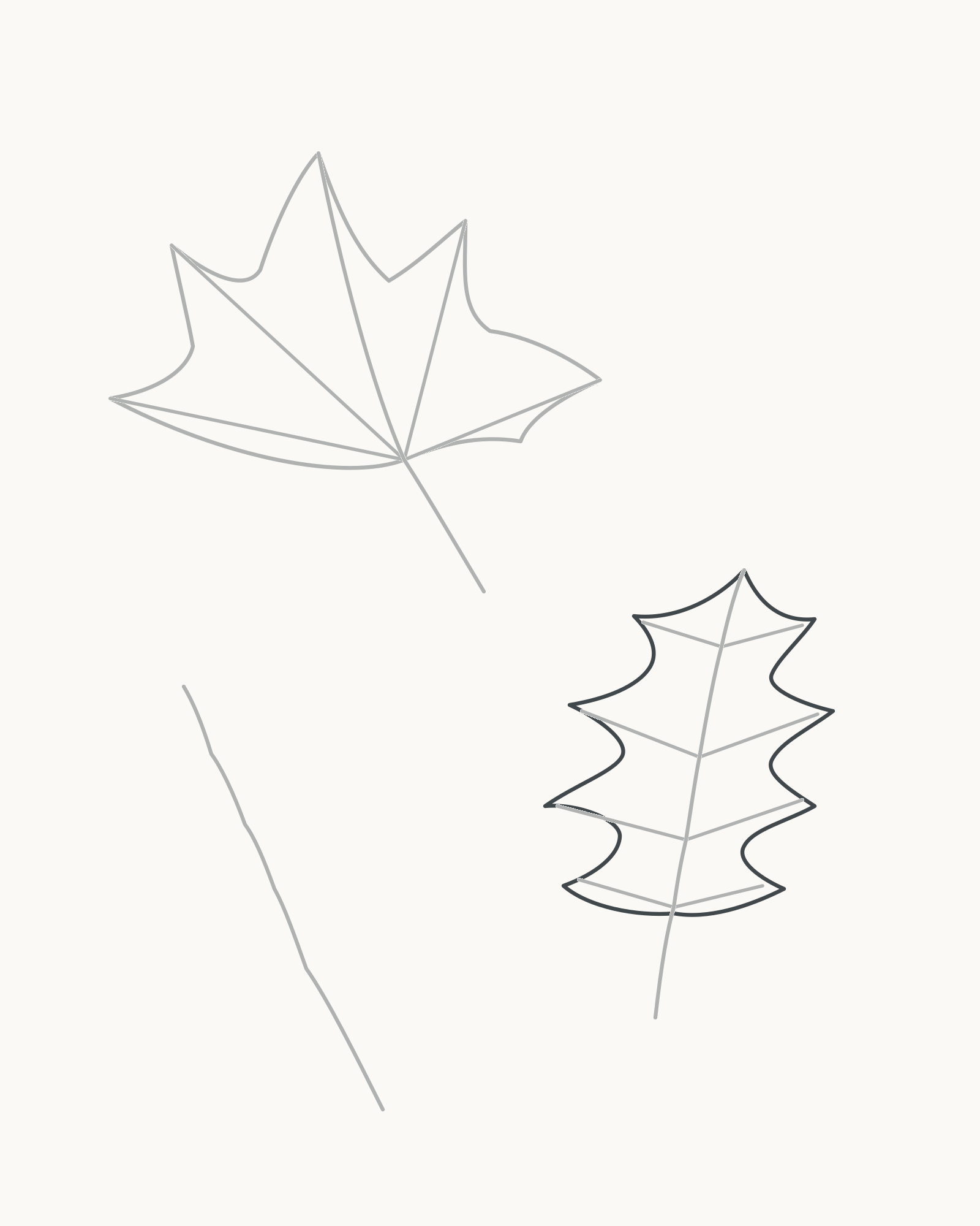 Stage 5 autumn leaf study adding one continuous rounded-lobed oak-type outline around its veins