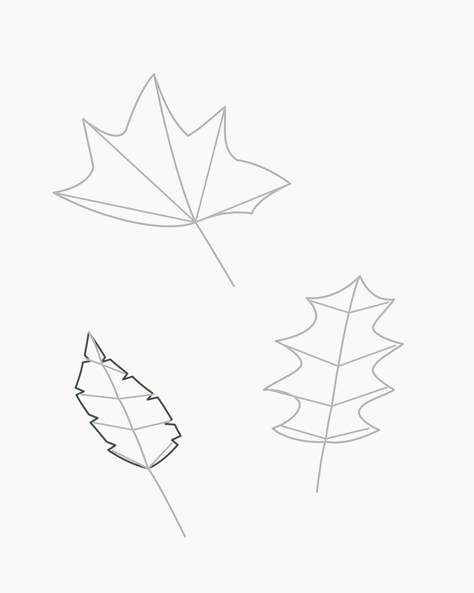Stage 7 autumn leaf study adding a small triangular-ovate birch-type outline with irregular serrations