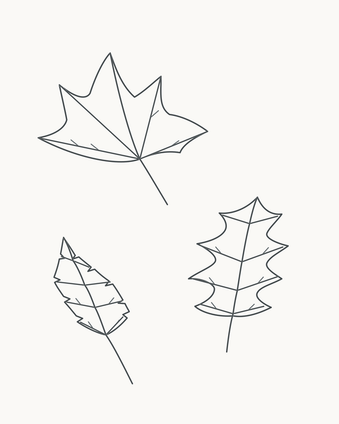 Completed three-leaf autumn study from the eight-stage drawing guide