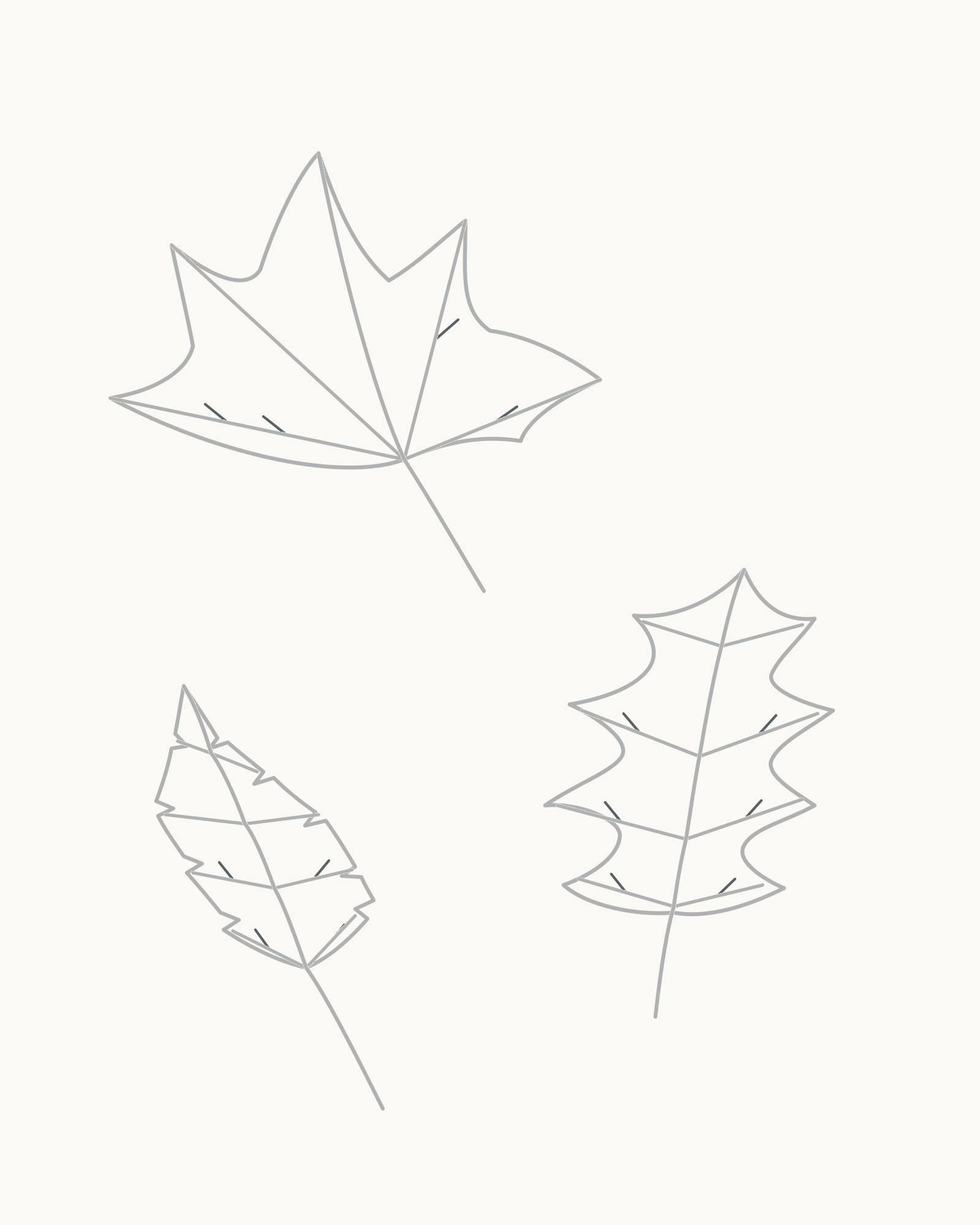 Stage 8 complete autumn leaf line study with six secondary branches on maple, six on oak and four on birch