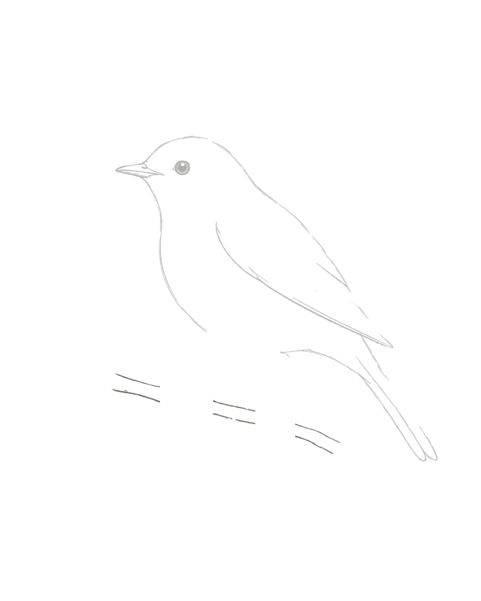 Stage 5 bird drawing adding three aligned branch sections with two deliberate white grip gaps beneath the body