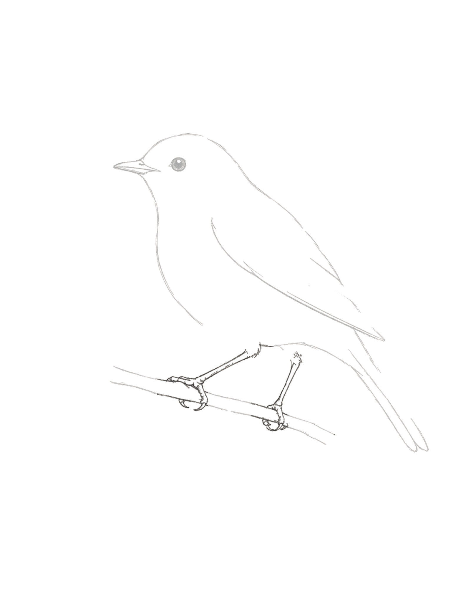 Stage 6 bird drawing adding an exposed near leg and foot, a narrower far grip and local branch continuations