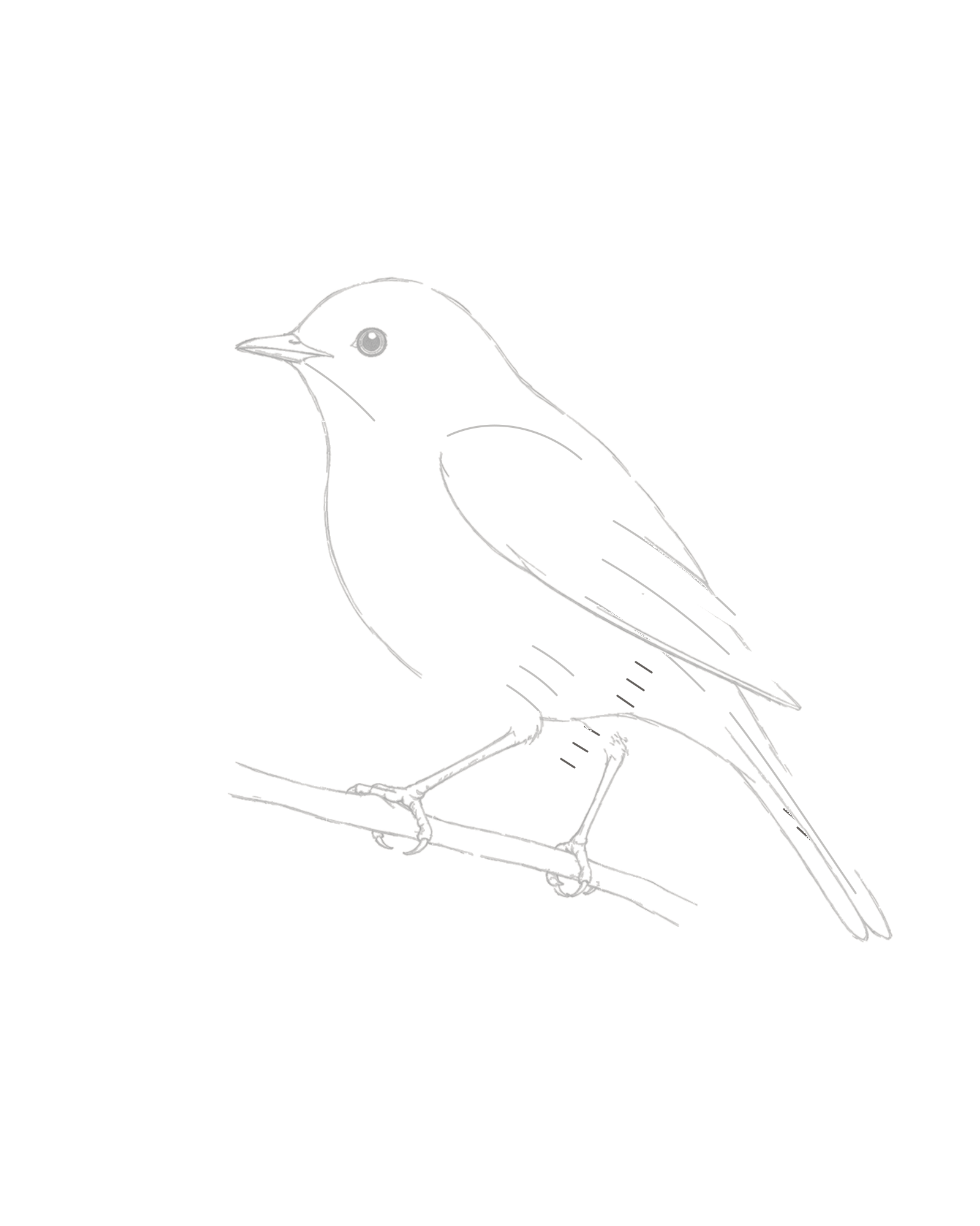 Stage 8 complete bird line drawing with exactly eight sparse hatches on the lower-right body, wing and tail