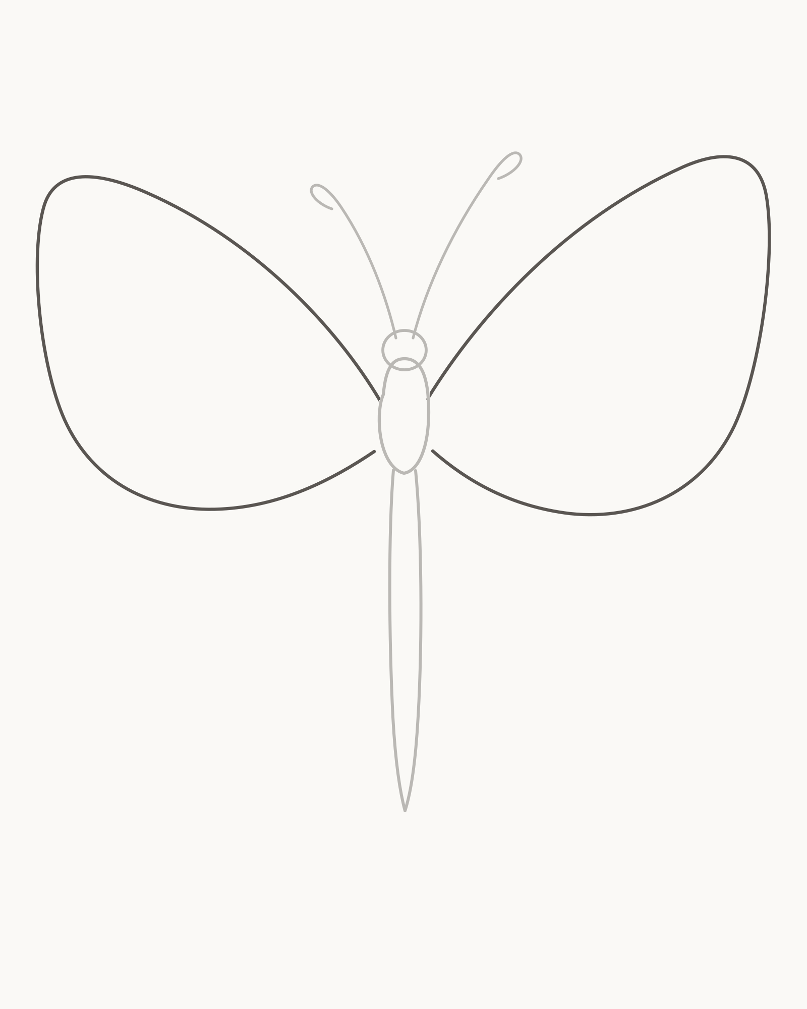 Stage 2 butterfly drawing adding two broad unequal forewings attached high on the retained thorax