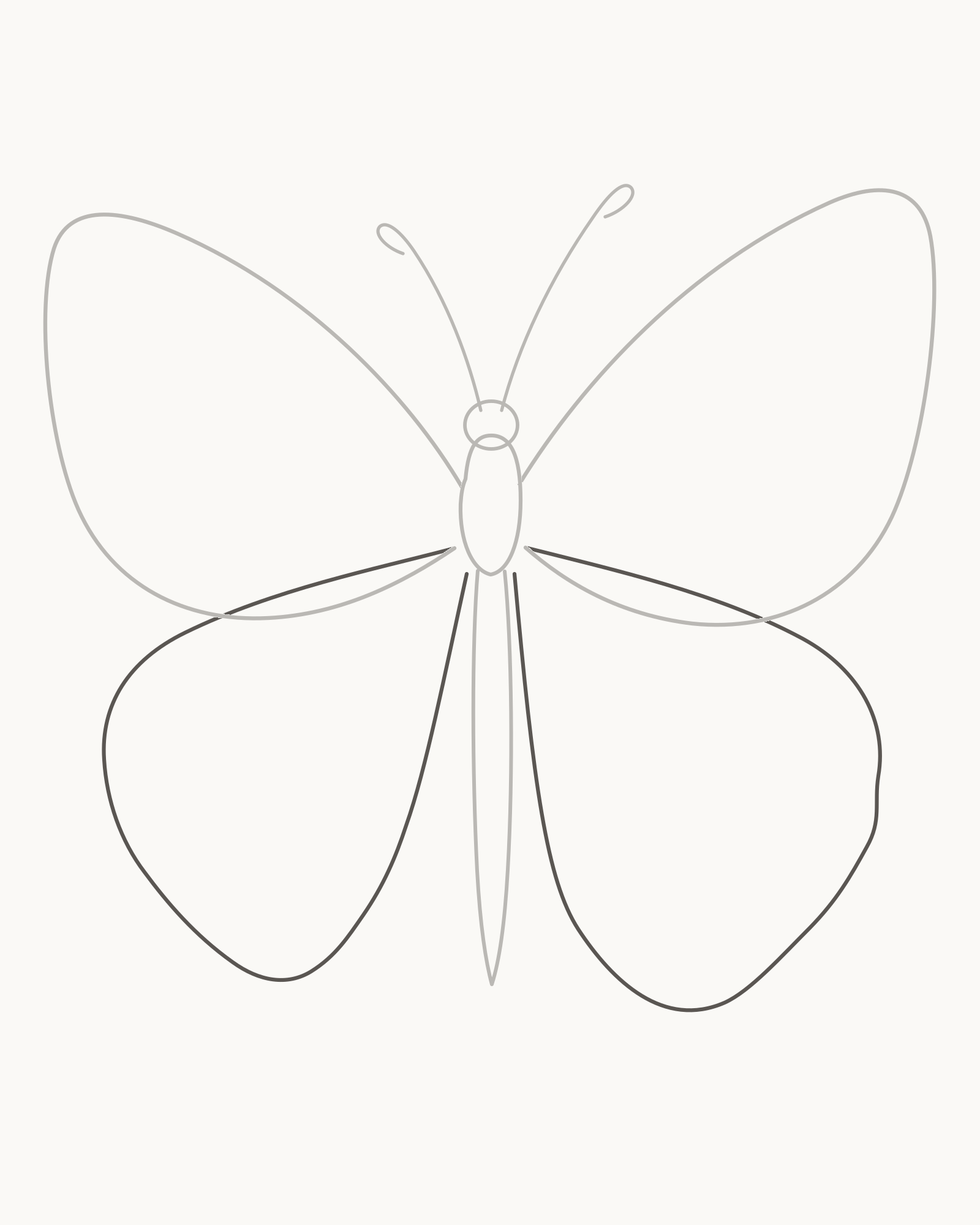 Stage 3 butterfly drawing adding two rounder hindwings behind the retained forewings at the lower thorax