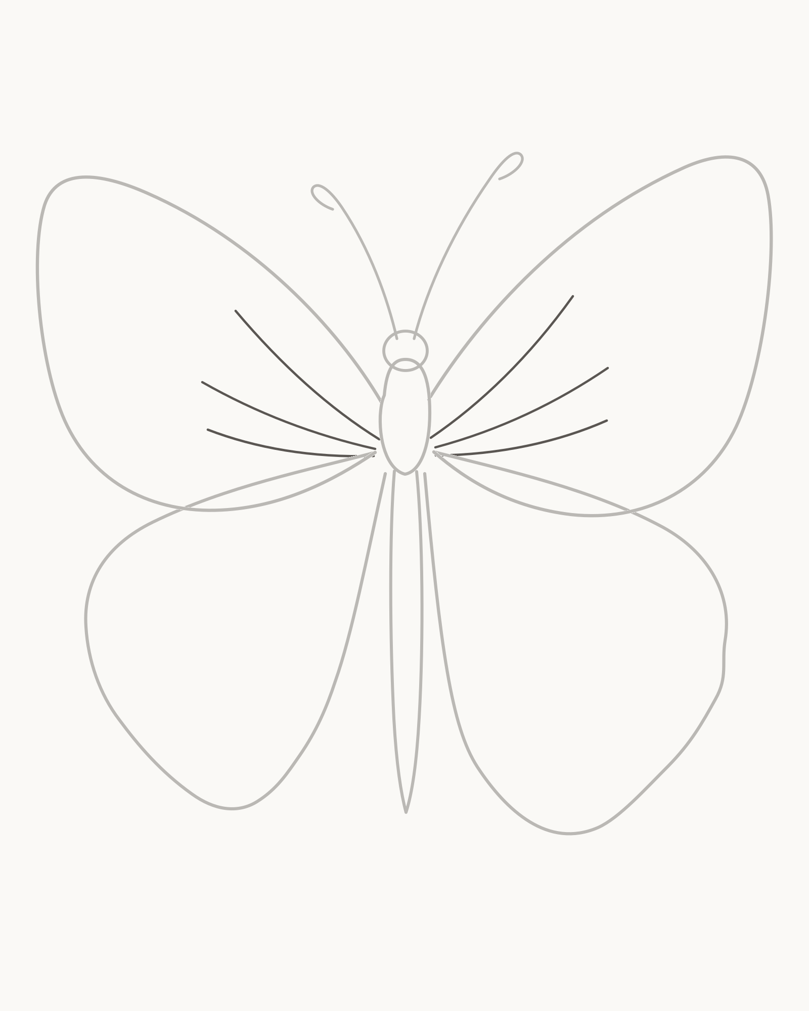 Stage 4 butterfly drawing adding exactly three fanning veins inside each retained forewing