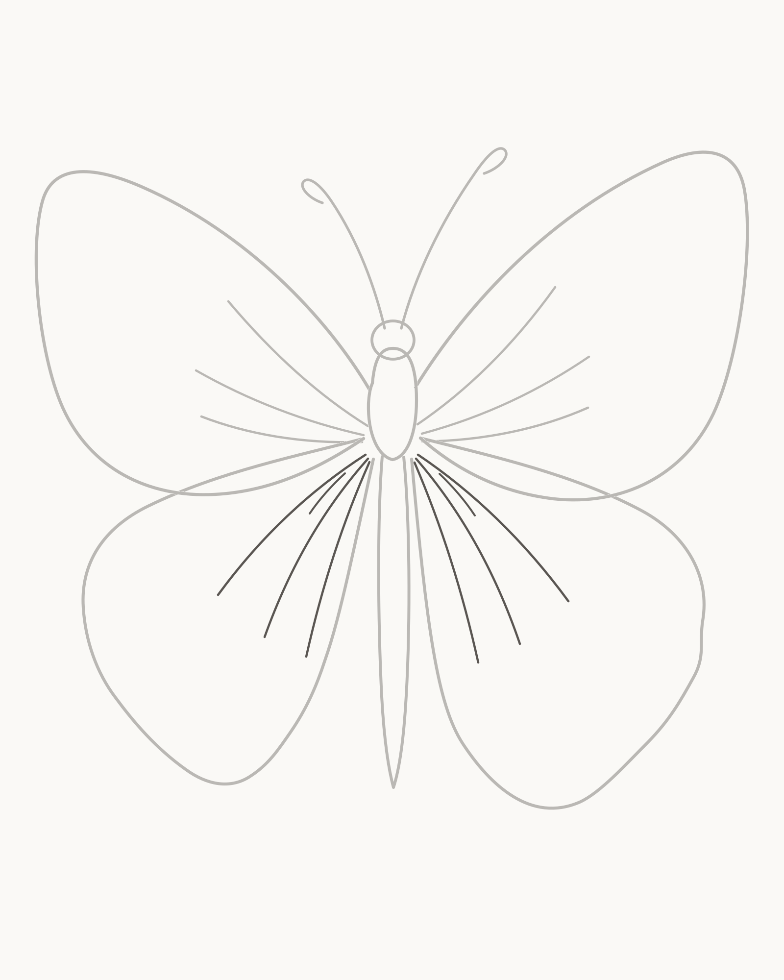 Stage 5 butterfly drawing adding three shorter veins and one small inner fold inside each hindwing