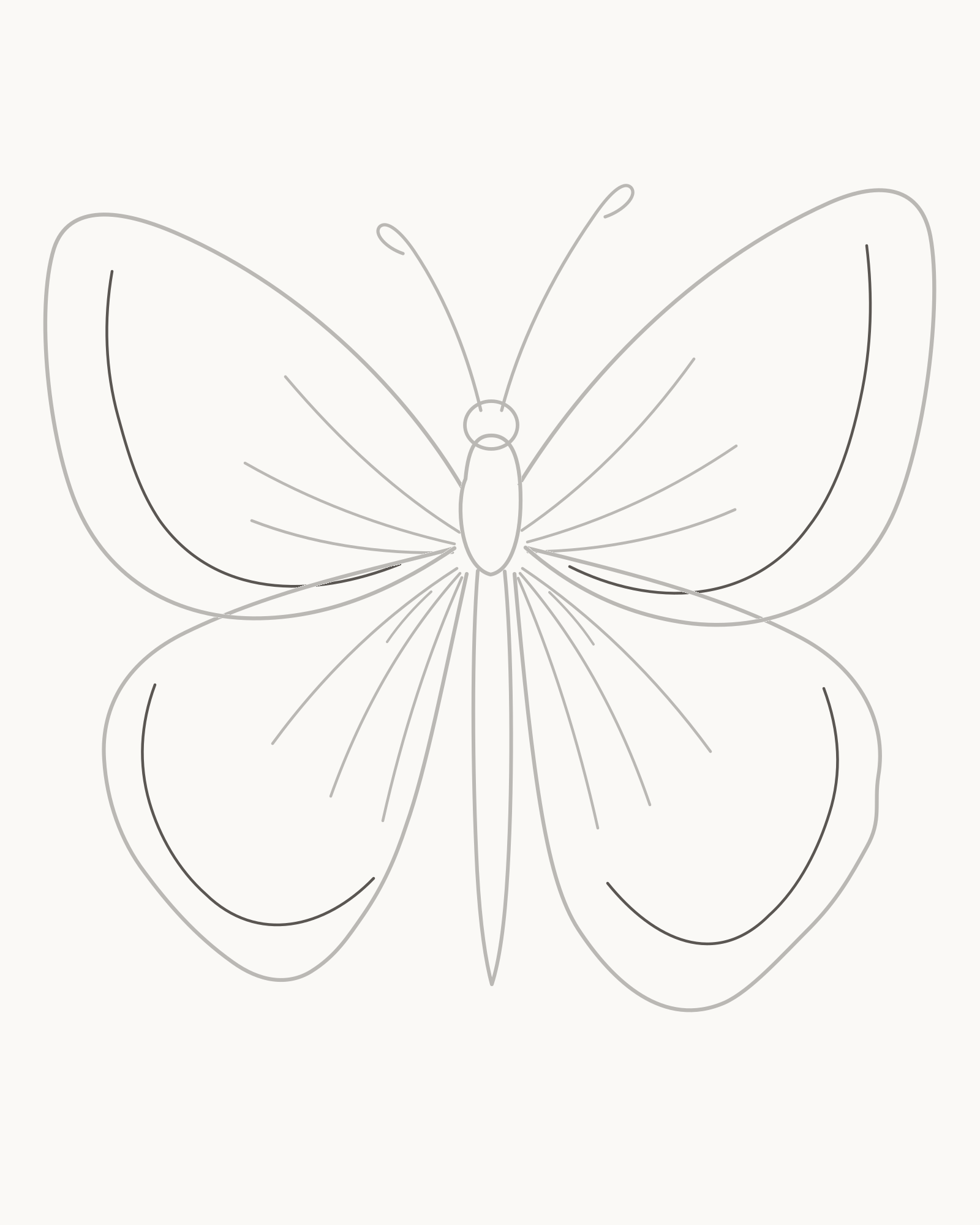 Stage 6 butterfly drawing adding one open irregular inset band inside each of the four wings