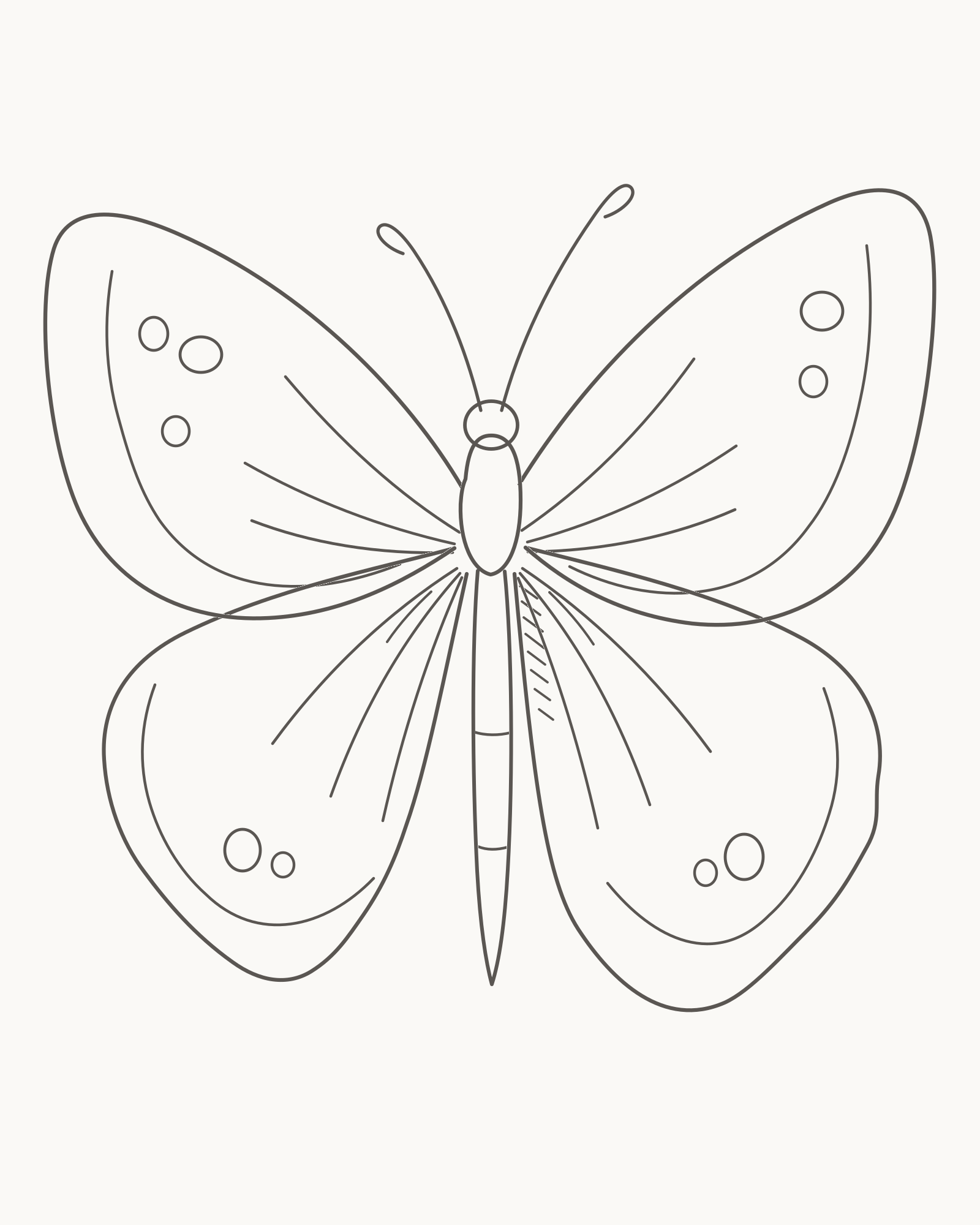 Complete open-wing butterfly line drawing with unequal antennae, four attached wings, restrained veins, open spots and sparse lower-right hatching
